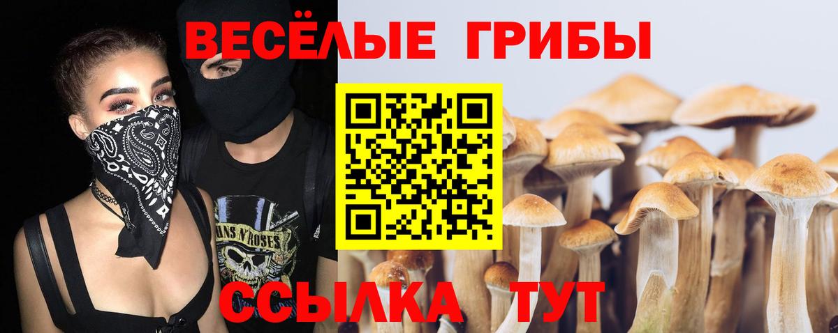 Серпухов  Галлюциногенные грибы Psilocybe  Вход с VPN 